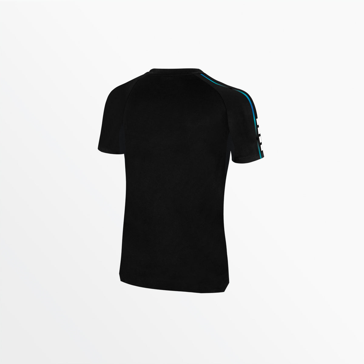 Women's Basics II Ombre Short Sleeve Training Top