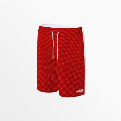 Men's Basics 2-Tone Mesh Shorts