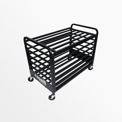 Basketball Ball Storage Cage With Lid